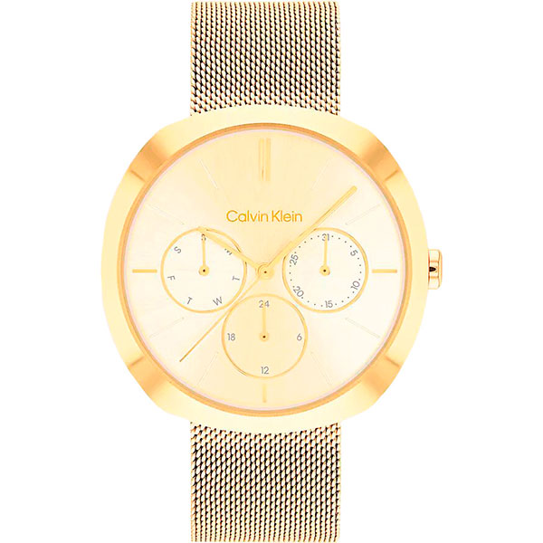 Часы Calvin Klein Multifunction 25200339